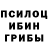 Галлюциногенные грибы Psilocybe Stopin Show