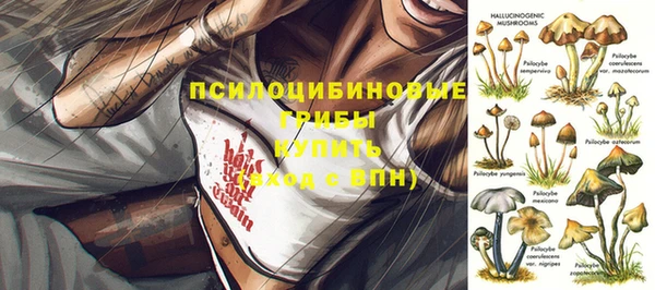 амфетамин Алексеевка