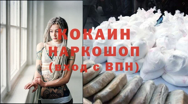 хмурый Алзамай
