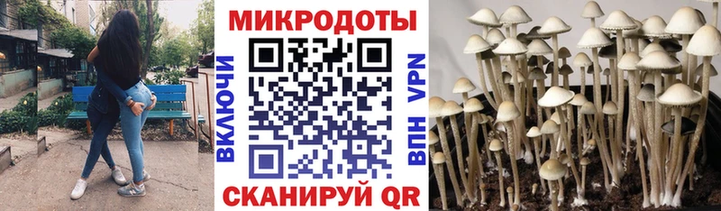 Галлюциногенные грибы ЛСД  Новодвинск 