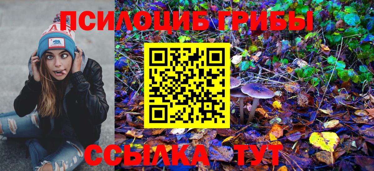 Псилоцибиновые грибы Psilocybe  Вход с VPN  Новодвинск 